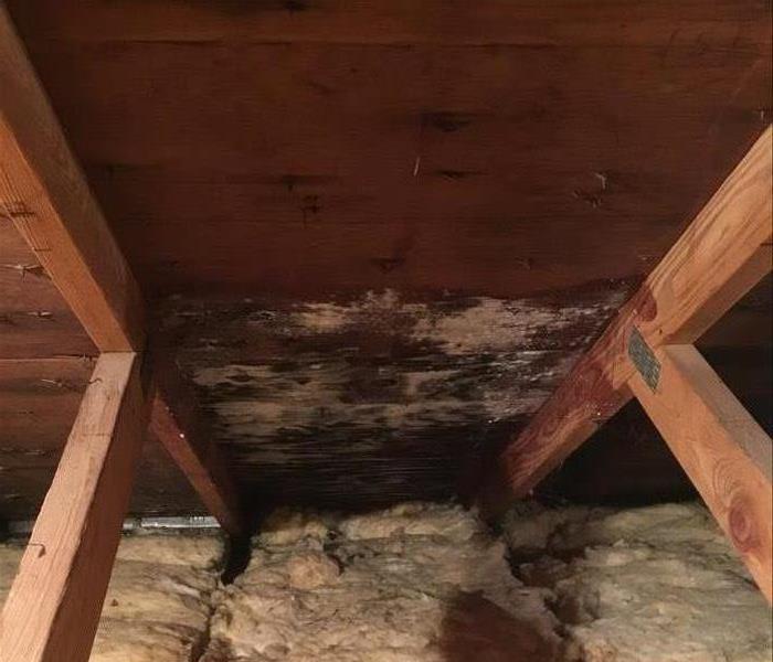 attic space with mold growing on the bottom of the roof wood